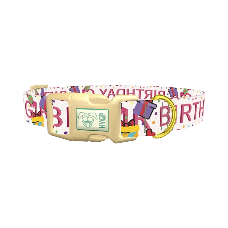 Birthday Celebration Dog Collar - plastic gold