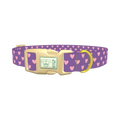 Violet Heart Dog Collar - plastic gold