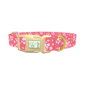 Floral Pink Dog Collar - plastic gold