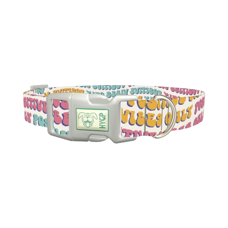 Positive Vibes Text Dog Collar - plastic silver