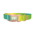 Gradient Color Dog Collar - plastic rose gold