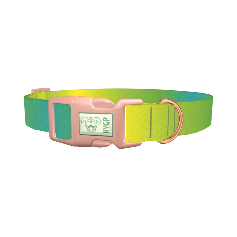 Gradient Color Dog Collar - plastic rose gold
