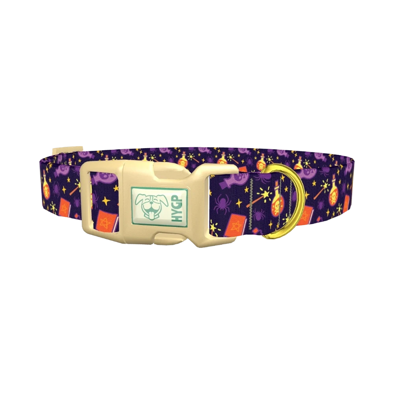 Halloween Witch Potion Dog Collar - plastic gold
