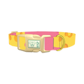  - plastic gold