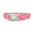 Western Holly Dog Collar - plastic silver