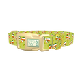 Shamrock Irish Bow Dog Collar - plastic gold