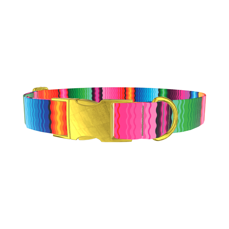Wavy Rainbow Stripe Dog Collar - metal rose gold