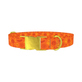 Halloween Mix Dog Collar - metal gold