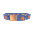 Pumpkin Cross Stitch Dog Collar - metal silver