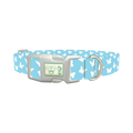 Sky Blue Butterfly Dog Collar - plastic silver