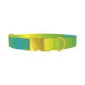 Gradient Color Dog Collar - metal gold