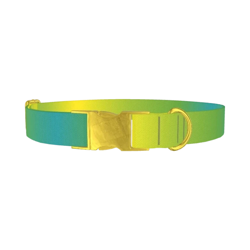 Gradient Color Dog Collar - metal gold