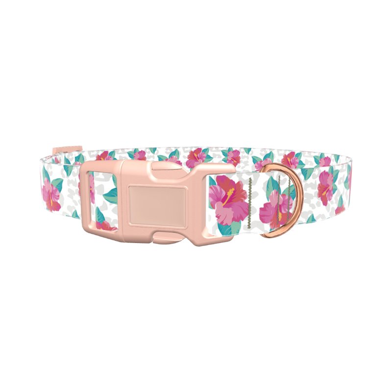 Leopard Floral Dog Collar - plastic gold
