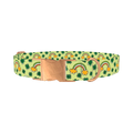 Leprechaun Rainbow Dog Collar - metal rose gold