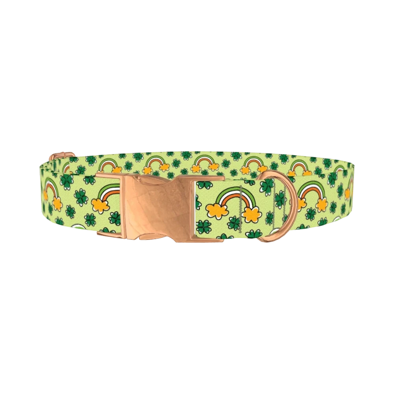 Leprechaun Rainbow Dog Collar - metal rose gold