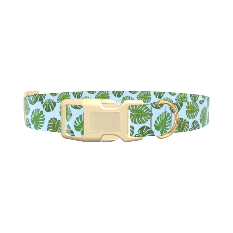 Blue Monstera Leaf Dog Collar - plastic silver