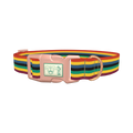 Bold Multicolor Stripe Dog Collar - plastic rose gold