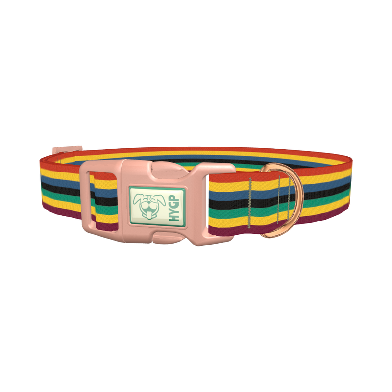 Bold Multicolor Stripe Dog Collar - plastic rose gold