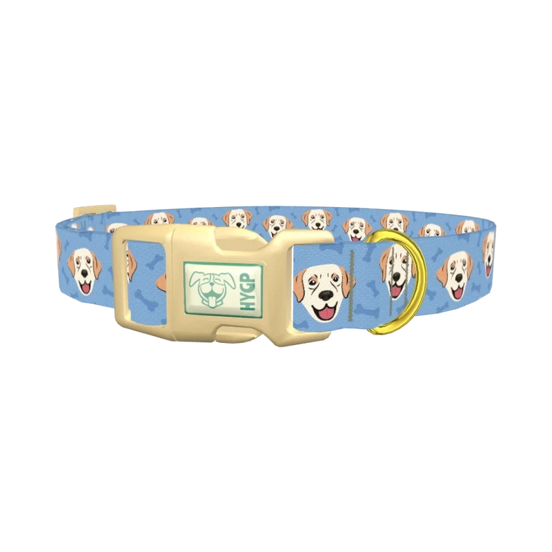 Labrador Dog Collar - plastic gold