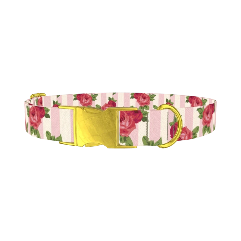 Striped Rose Pattern Dog Collar - metal gold