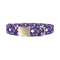 Purple Graveyard Halloween Dog Collar - metal silver