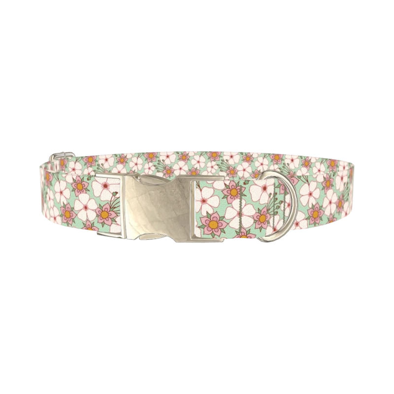 Mint Pink Floral Dog Collar - metal silver