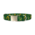 Lucky Rainbow Dog Collar - metal silver