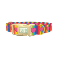 Rainbow Heart Dog Collar - plastic gold