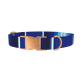 Blue Geometric Stripe Dog Collar - metal rose gold