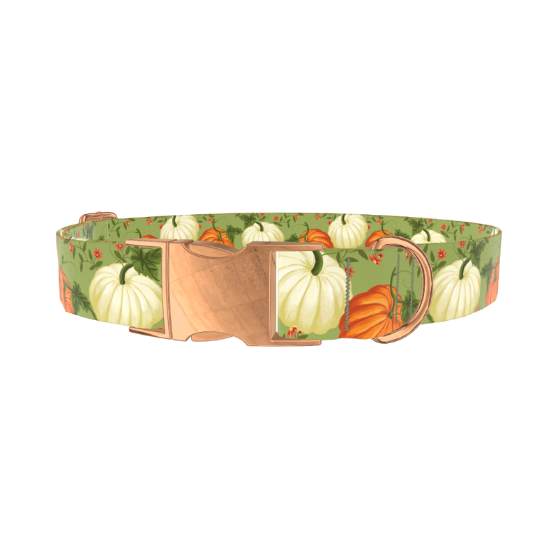 Pumpkin Floral Dog Collar - metal rose gold