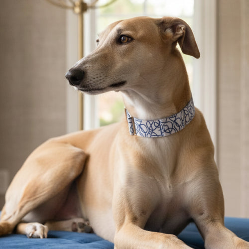 Martingale Collar