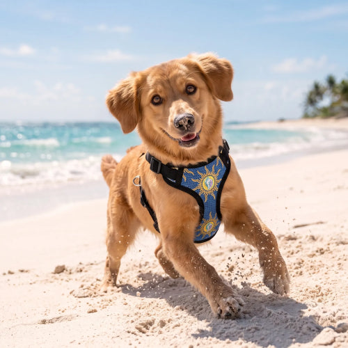 Dog Harness