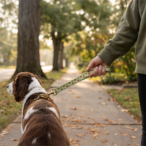 Dog Leash