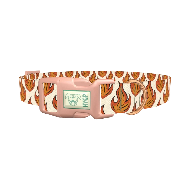 Blazing Flame Dog Collar - plastic rose gold