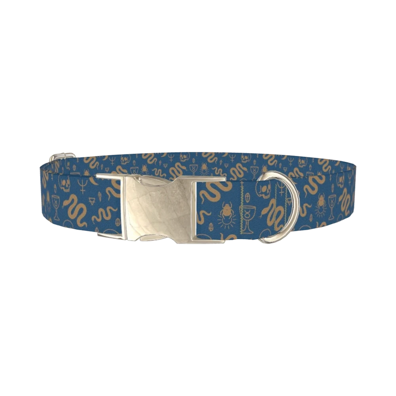 Halloween Snakes and Skulls Dog Collar - metal silver