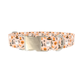 Spooky Potion Halloween Dog Collar - metal gold