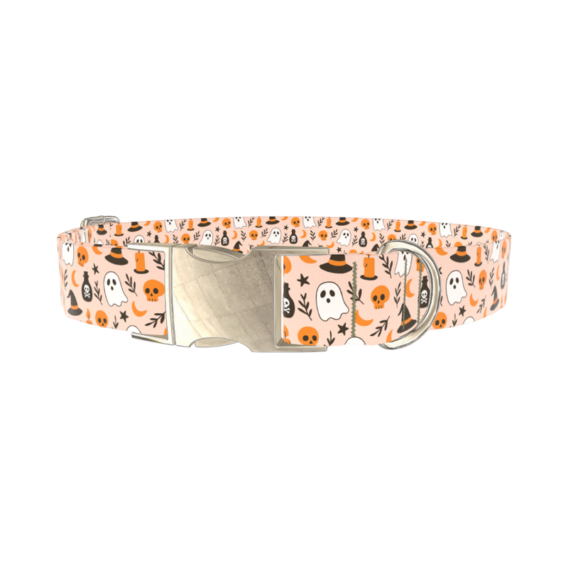 Spooky Potion Halloween Dog Collar - metal gold