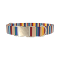 Colorful Striped Dog Collar - metal gold