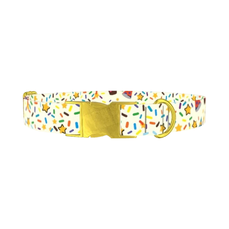 Birthday Boy Celebration Dog Collar - metal gold