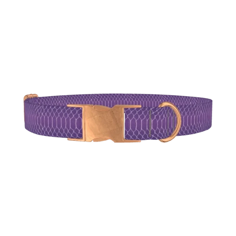 Purple Snake Print Dog Collar - metal rose gold