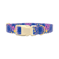 Tie-Dye Spiral Dog Collar - plastic silver