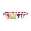 Patriotic Stars and Stripes Dog Collar - plastic gold