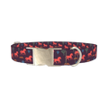 Western Desert Dog Collar - metal silver