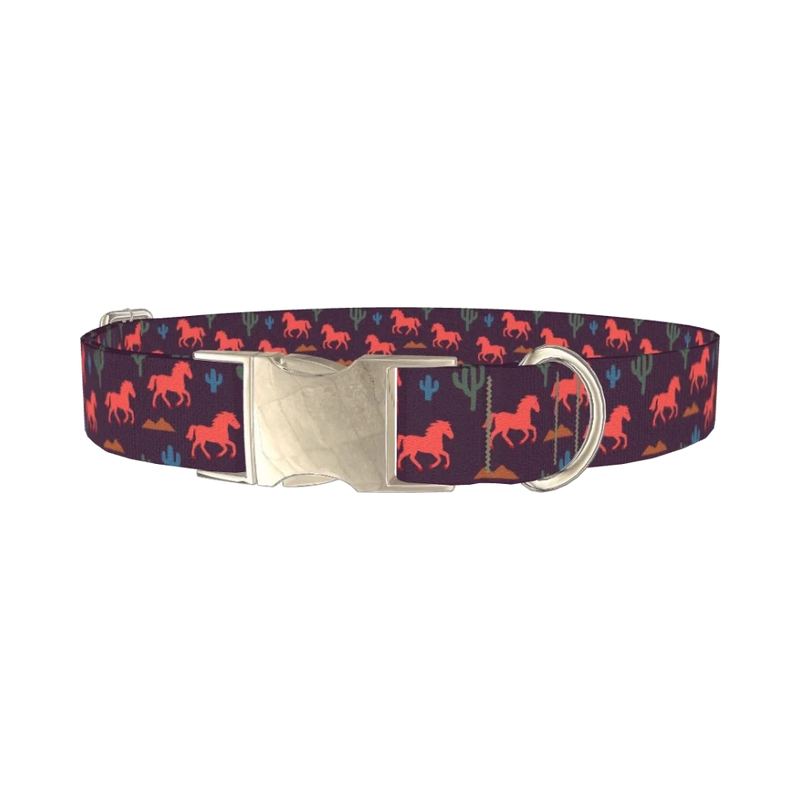 Western Desert Dog Collar - metal silver