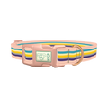 Multicolor Stripes Dog Collar - plastic rose gold