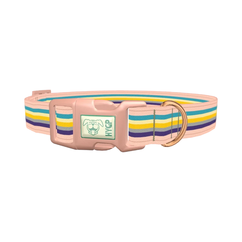 Multicolor Stripes Dog Collar - plastic rose gold