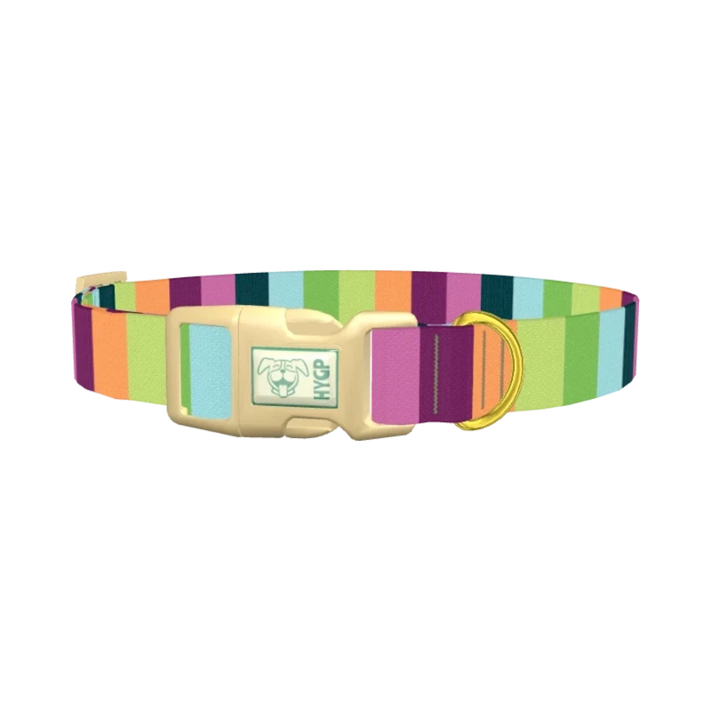 Rainbow Stripe Dog Collar - plastic gold