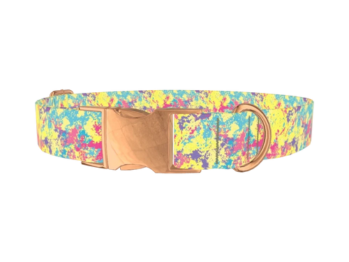 Colorful Splatter Dog Collar