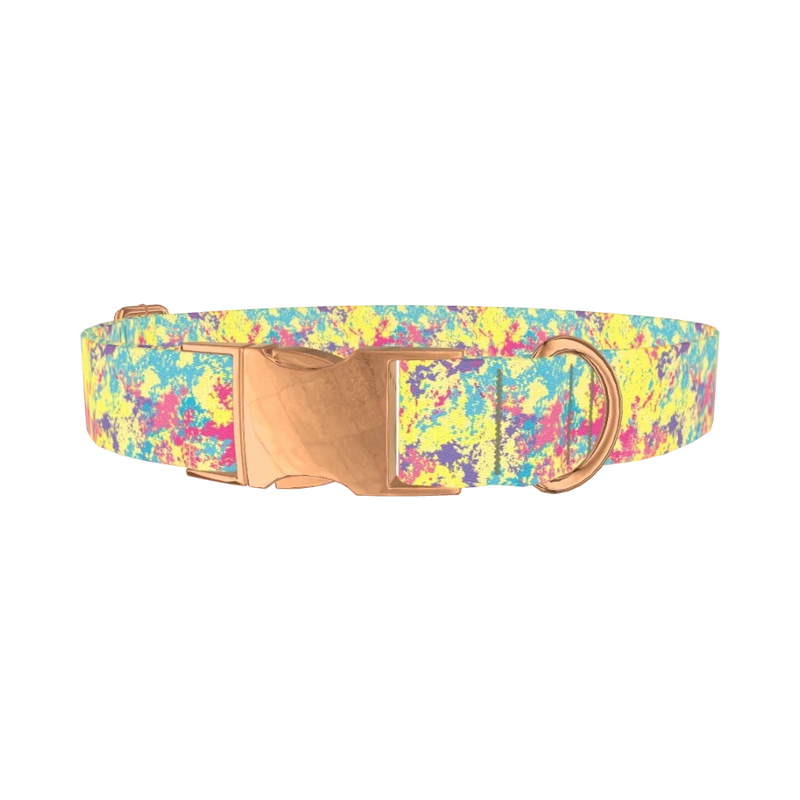 Colorful Splatter Dog Collar - metal rose gold