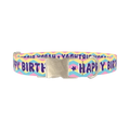 Birthday Chevron Dog Collar - metal silver